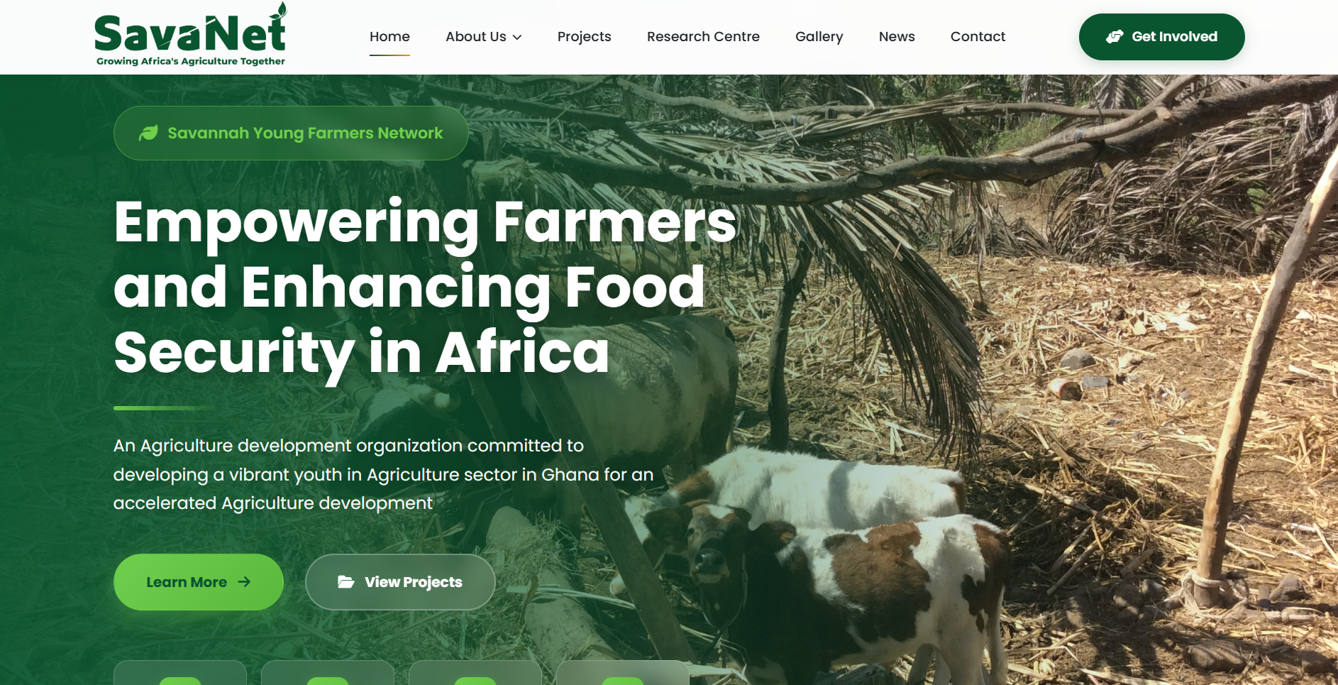 Savannah Young Farmers Network